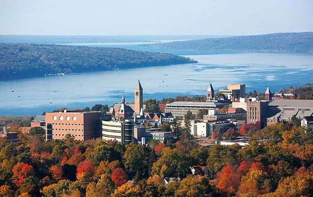 Cornell